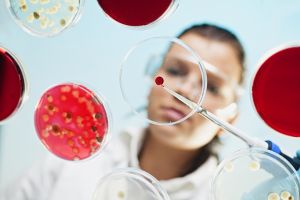 Image of scientist and petri dish