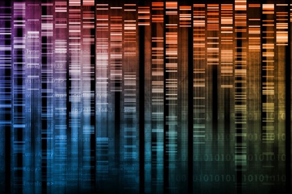 Colorful DNA profile