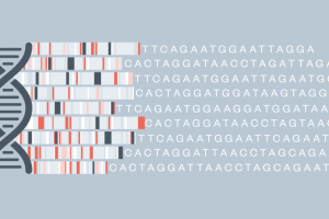 Cover illustration DNAI Genomics interim report e1693406501598 1104x6202